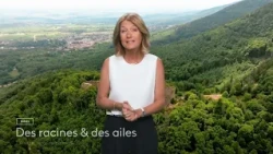 [Trailer] Des racines & des ailes – Alsace, Land of Passion