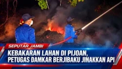 KEBAKARAN LAHAN DI PIJOAN, PETUGAS DAMKAR BERJIBAKU JINAKKAN API