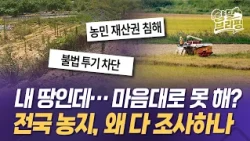 "내 땅인데 마음대로 못 한다?" ··· 전국 농지, 왜 다 조사하나 [양말브리핑] #부동산 #농지전수조사 #양말브리핑